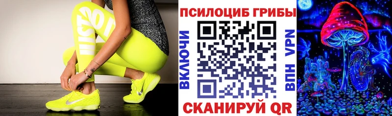 Псилоцибиновые грибы Psilocybine cubensis Озёрск