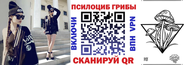наркота Озёрск Псилоцибиновые грибы Psilocybe